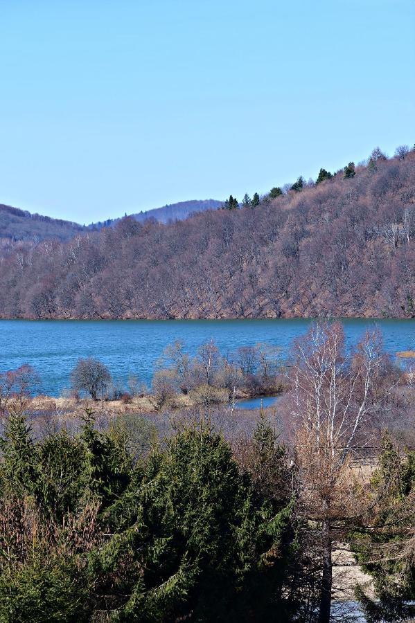 Drozdówka nad Soliną - Chata z Kominkiem Exterior foto
